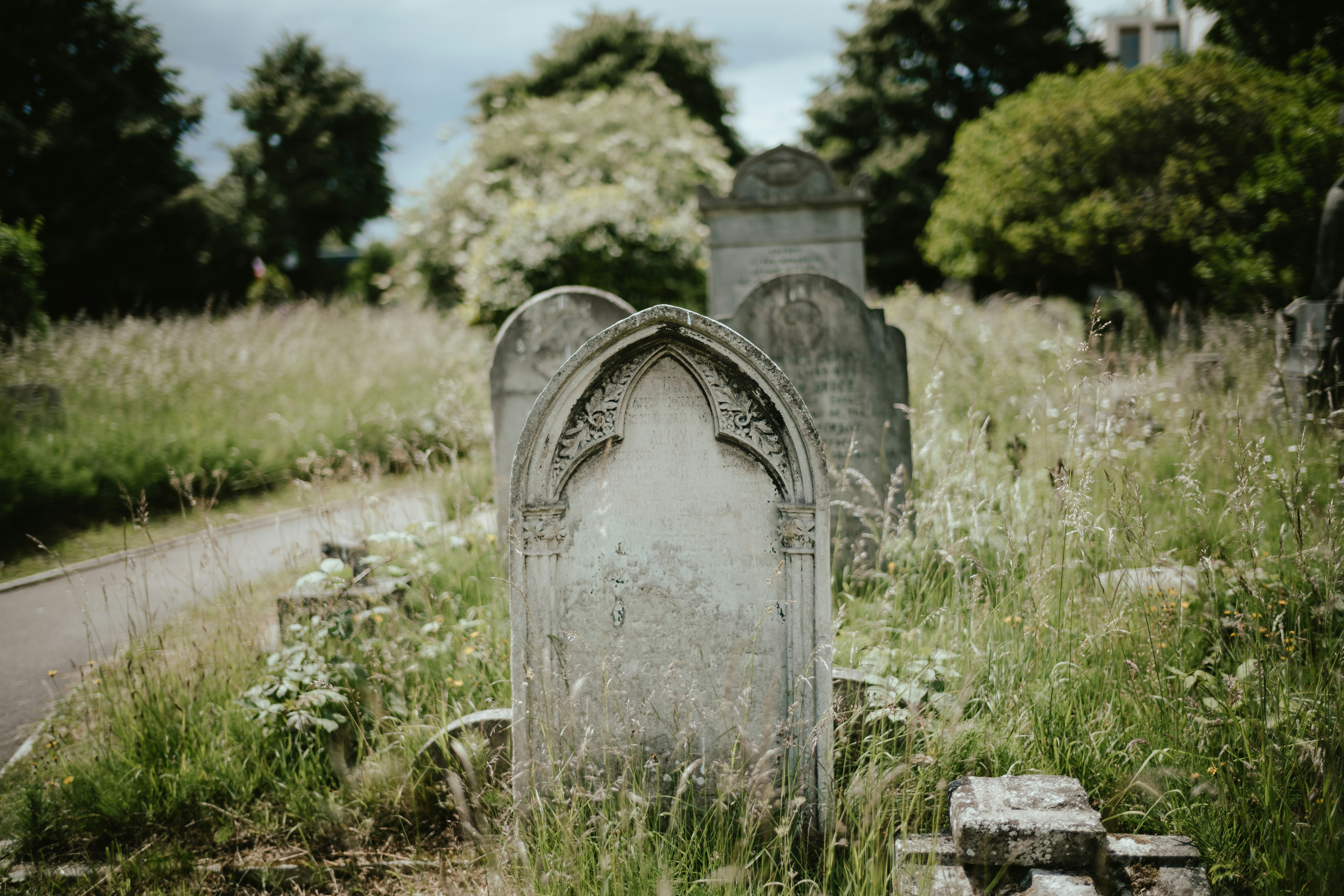 Old gravestones standing among tall grass in a cemetery.